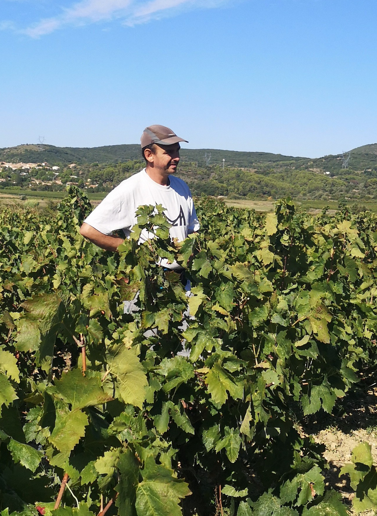 une photo de Jean Michel dans les vignes de carignan