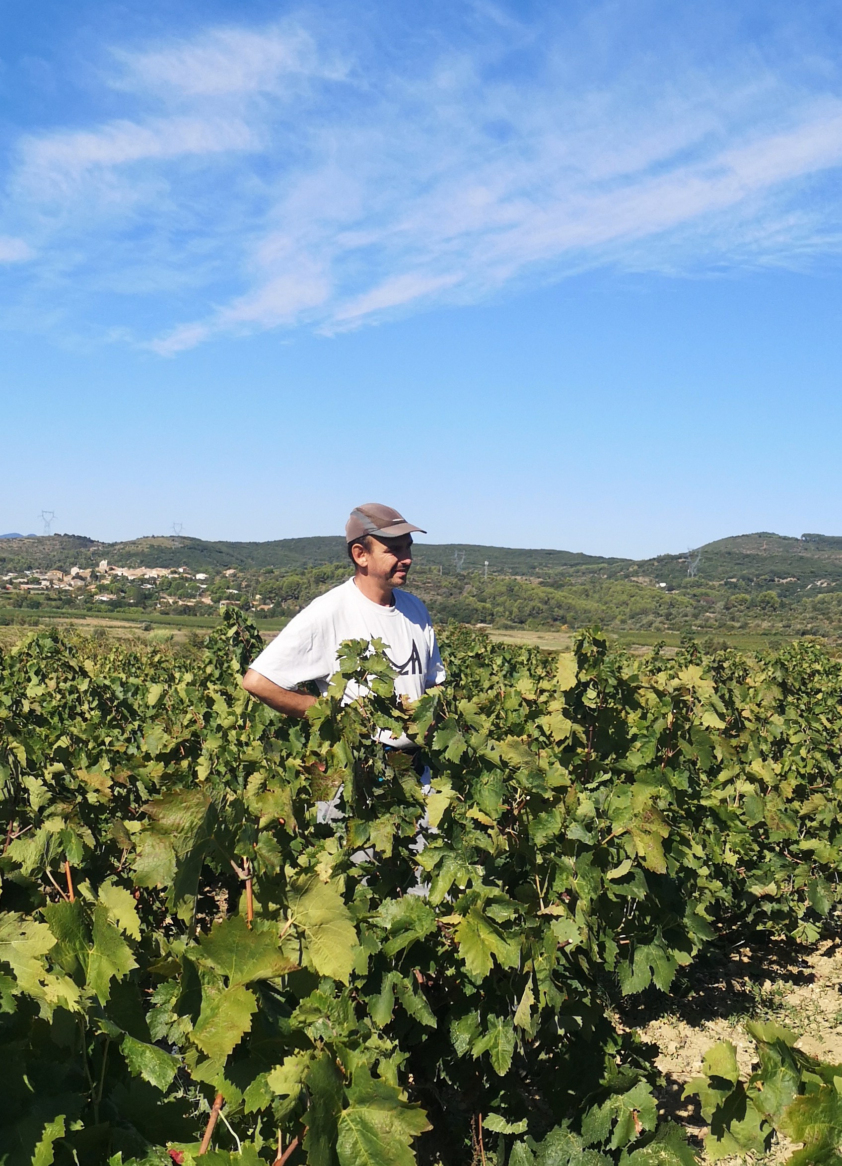 une photo de laurie en train de conditioner un vin